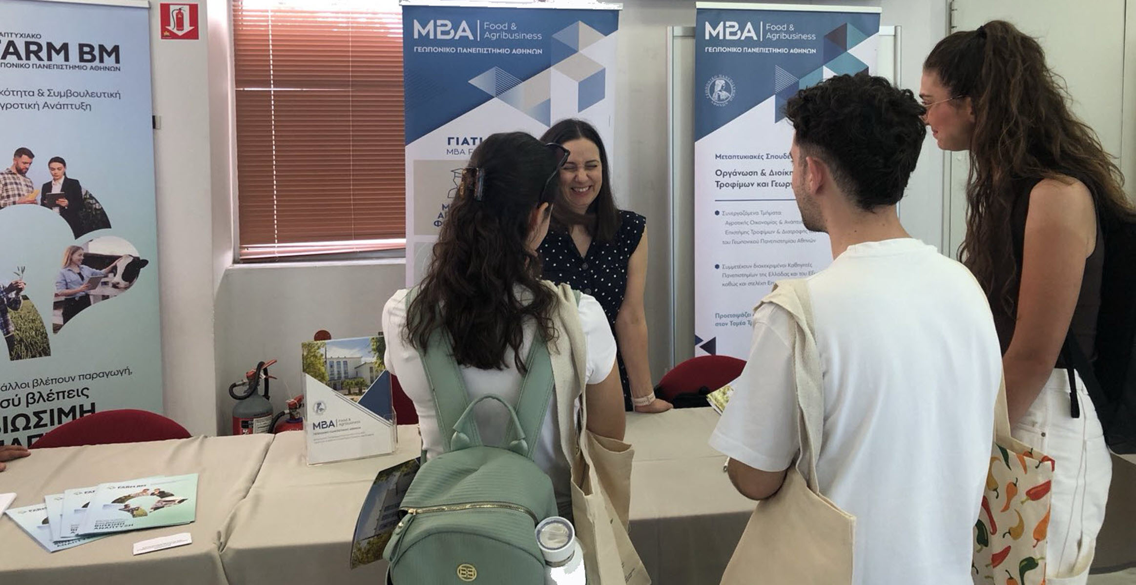 MBA IV